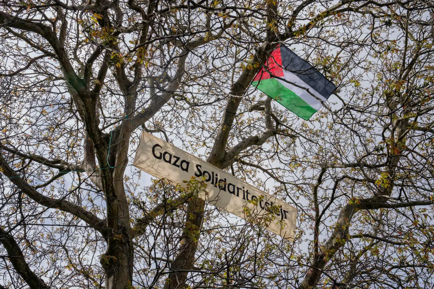 Studerende har sat telte op ved Københavns Universitet i protest mod krigen i Gaza. Men deres krav til Københavns Universitet har karakter af en åndelig gidseltagning.