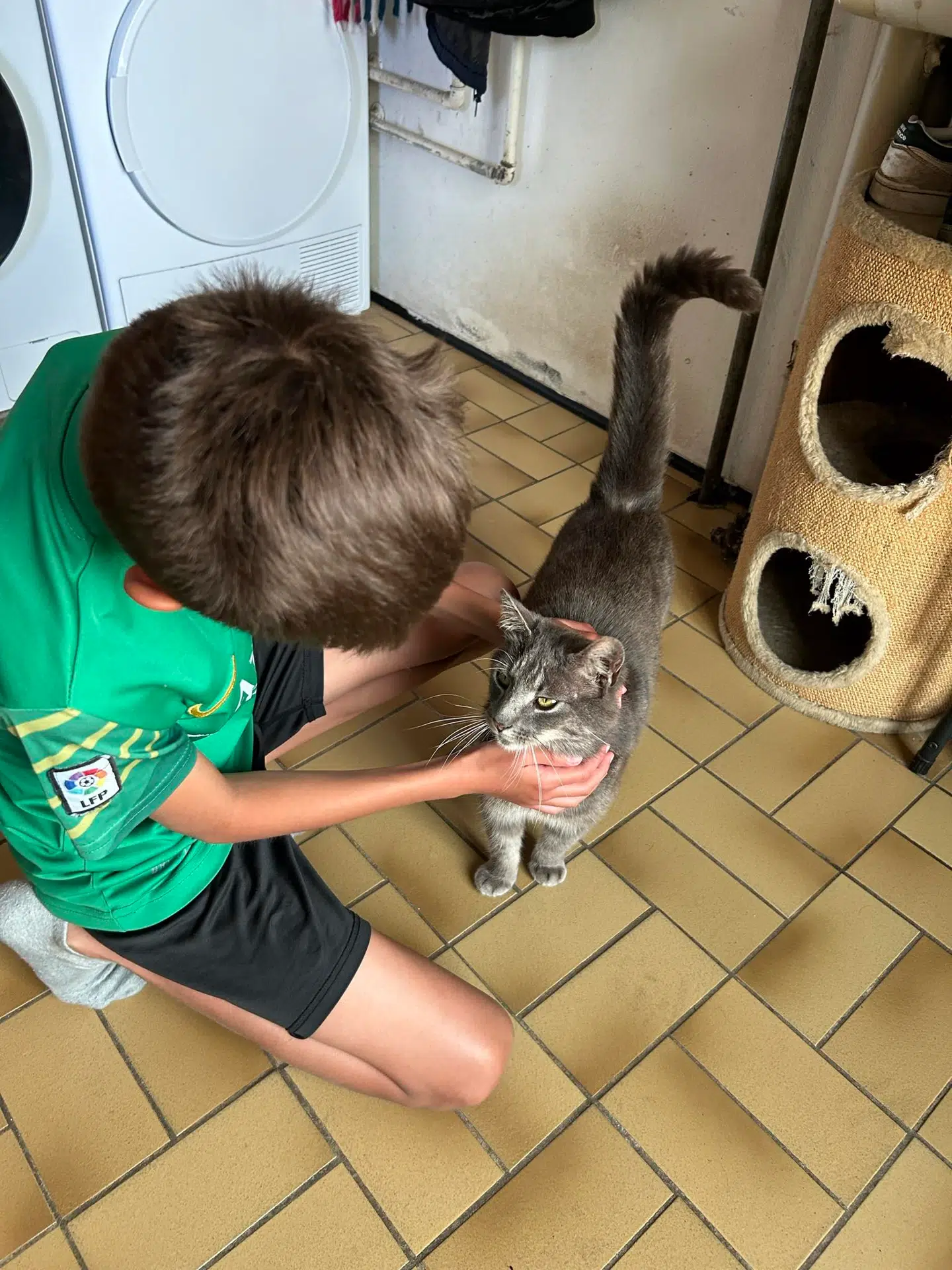 Rikkes yngste søn kæler med Sofus, efter han er kommet hjem igen.