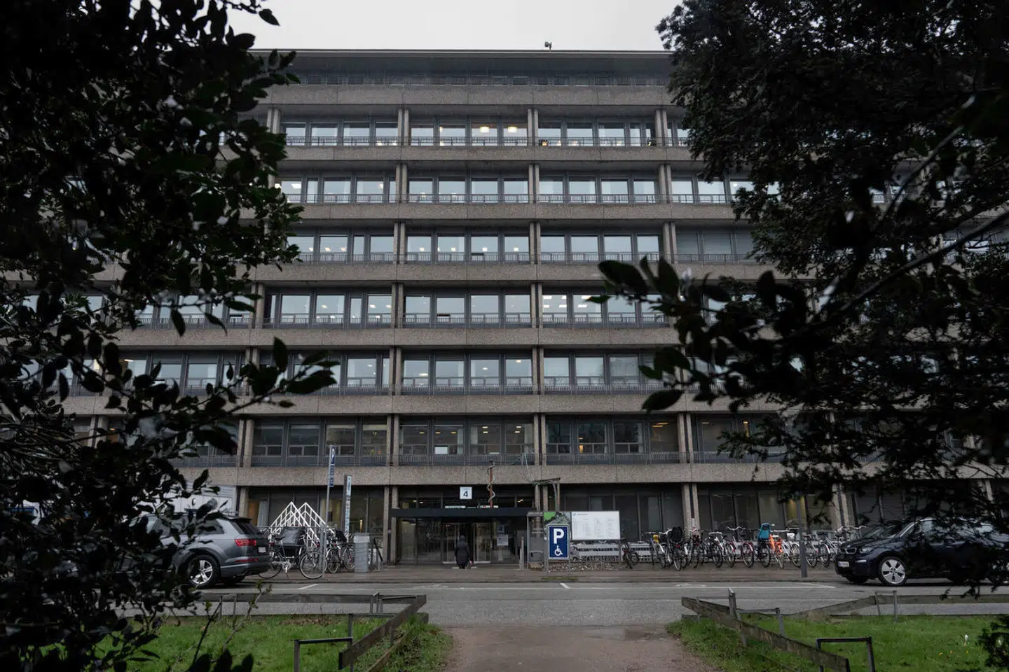 Rigshospitalets sydfløj er særligt hårdt ramt af skimmelsvamp. Nye oplysninger viser, at den alvorlige skimmelsvamp Aspergillus flavus er fundet i 39 af 50 undersøgte rum.