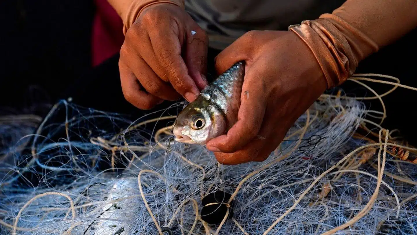 Det var den meget tynde, transparente fiskesnøre, som gjorde to børn nervøse i skoven i Midtjylland.