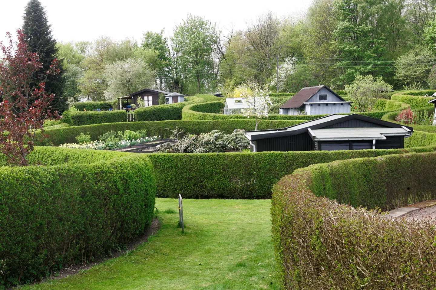 C.Th. Sørensen er blandt andet manden bag De Runde Haver i Nærum. De snart 60 årige gamle kolonihaver er fredede og med i kanon om de 12 ypperligste værdier i dansk havekunst. Foto: Jan Jørgensen, Scanpix