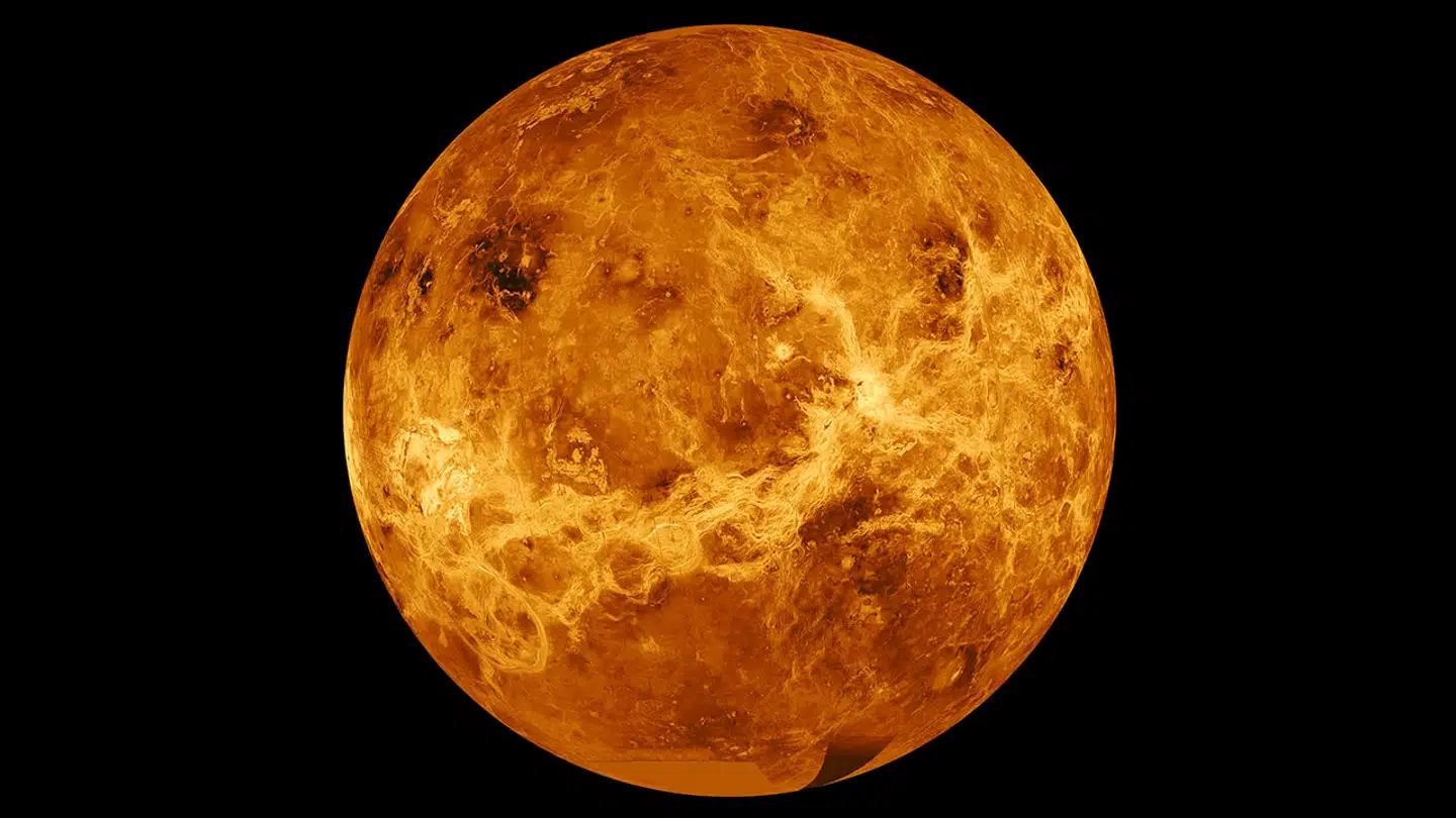 Forskerne brugt moderne software til at kaste et friskt blik på nogle af de mange indsamlede data fra Magallan-missionen. Her ses et billede af Venus skabt ved hjælp af data fra NASAs rumfartøjer Magellan og Pioneer Venus Orbiter. Foto: NASA/Caltech, Scanpix
