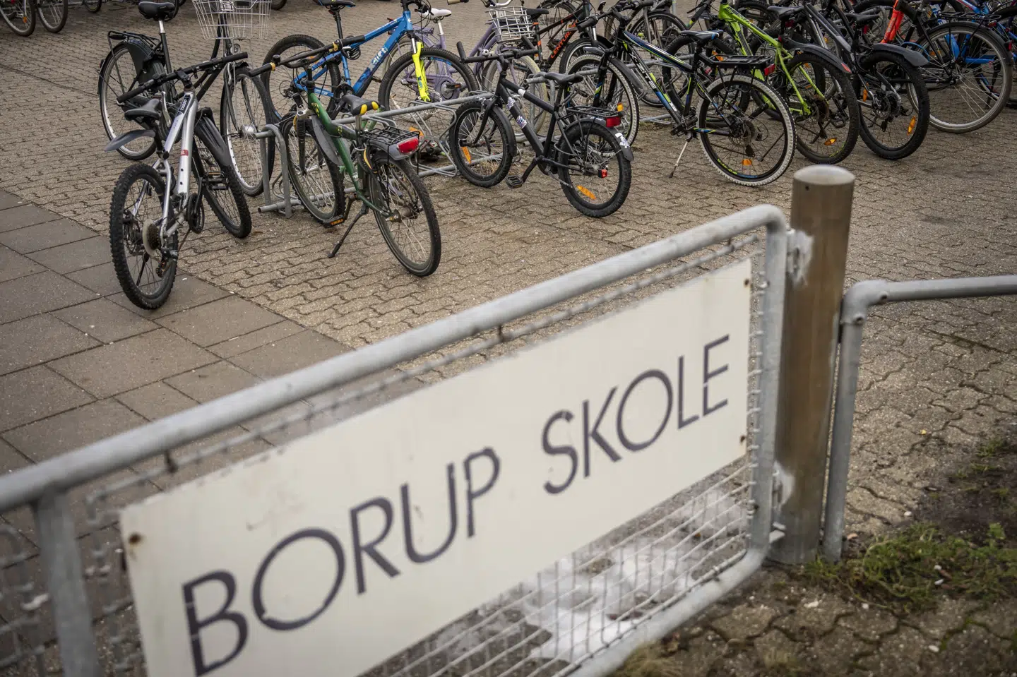 Kammeradvokaten vurderer, at det må eller bør have stået klart for ledelsen på Borup Skole i hvert fald fra midten af 2023 til 2024, at undervisningsmiljøet i en enkelt klasse betød, at der skulle laves en handlingsplan. (Arkivfoto).