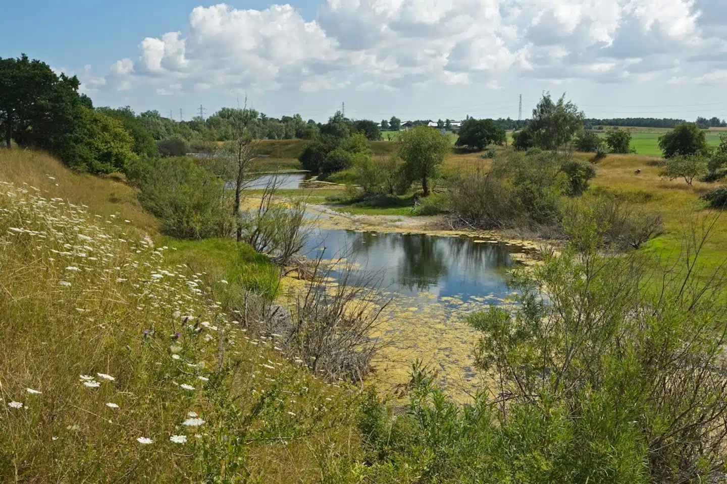 Liget af Emilie Meng blev fundet i Regnemarks Bakke, som man kan se på billedet, nær Borup. Dagen efter hun forsvandt, mener en kvinde at have set en bil på en parkeringsplads.
