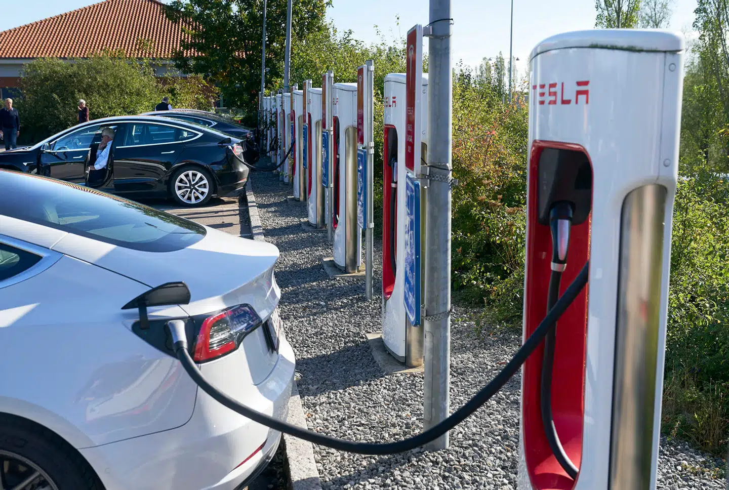 Priserne på Tesla rasler ned herhjemme.