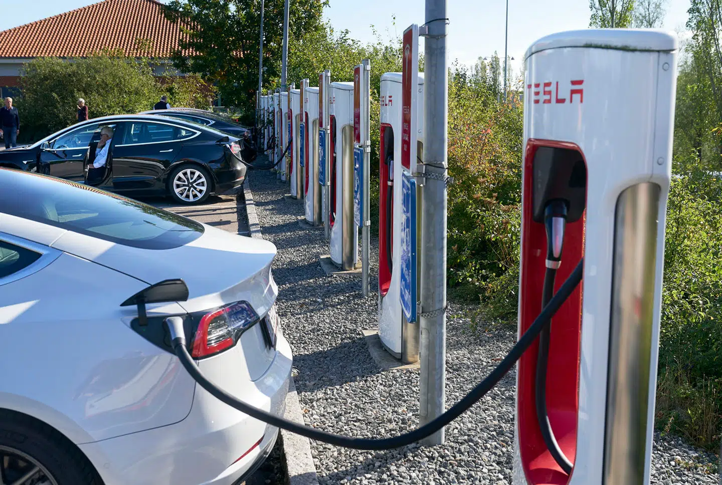 Priserne på Tesla rasler ned herhjemme.