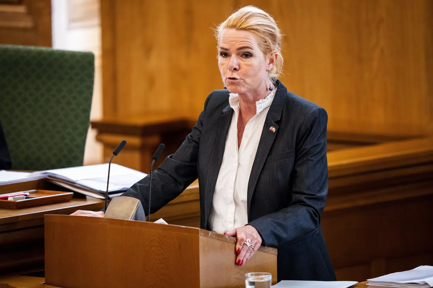 Inger Støjberg (DD) siger, at hun ved selvsyn i sin ministertid har konstateret, hvor vigtig grænsebevogtningen af indre og ydre grænser er. Derfor skal der afsættes flere midler til opgaven. (Arkivfoto).