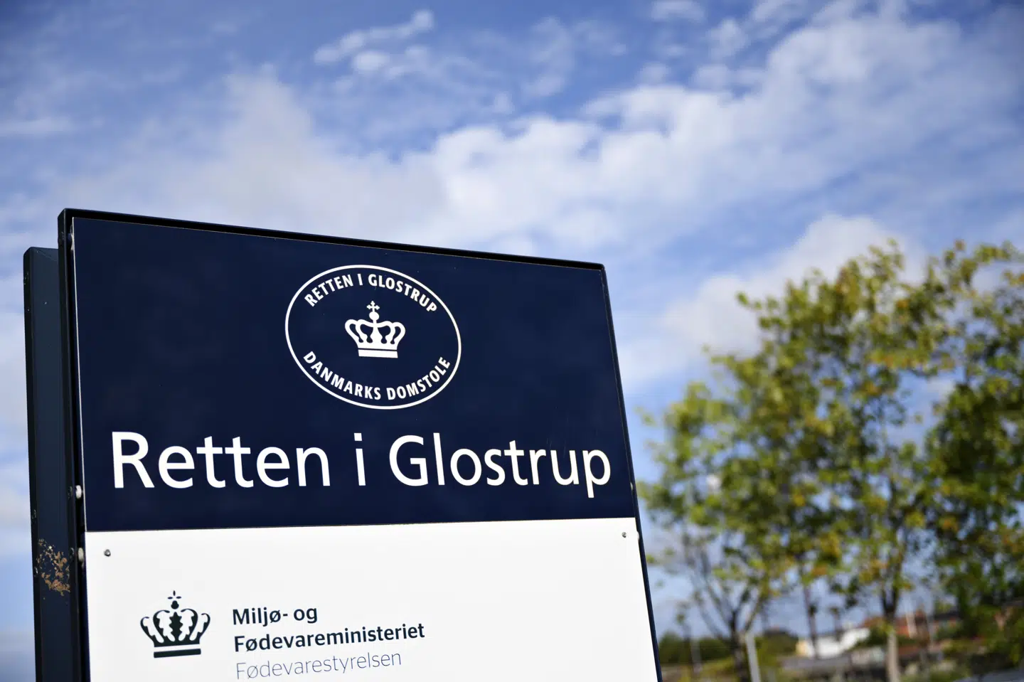 Gravide Louise Borglit blev knivdræbt en novemberaften i 2016 i Elverparken i Herlev. Retten i Glostrup afsiger mandag dom i sagen mod en i dag 30-årig mand. (Arkivfoto).