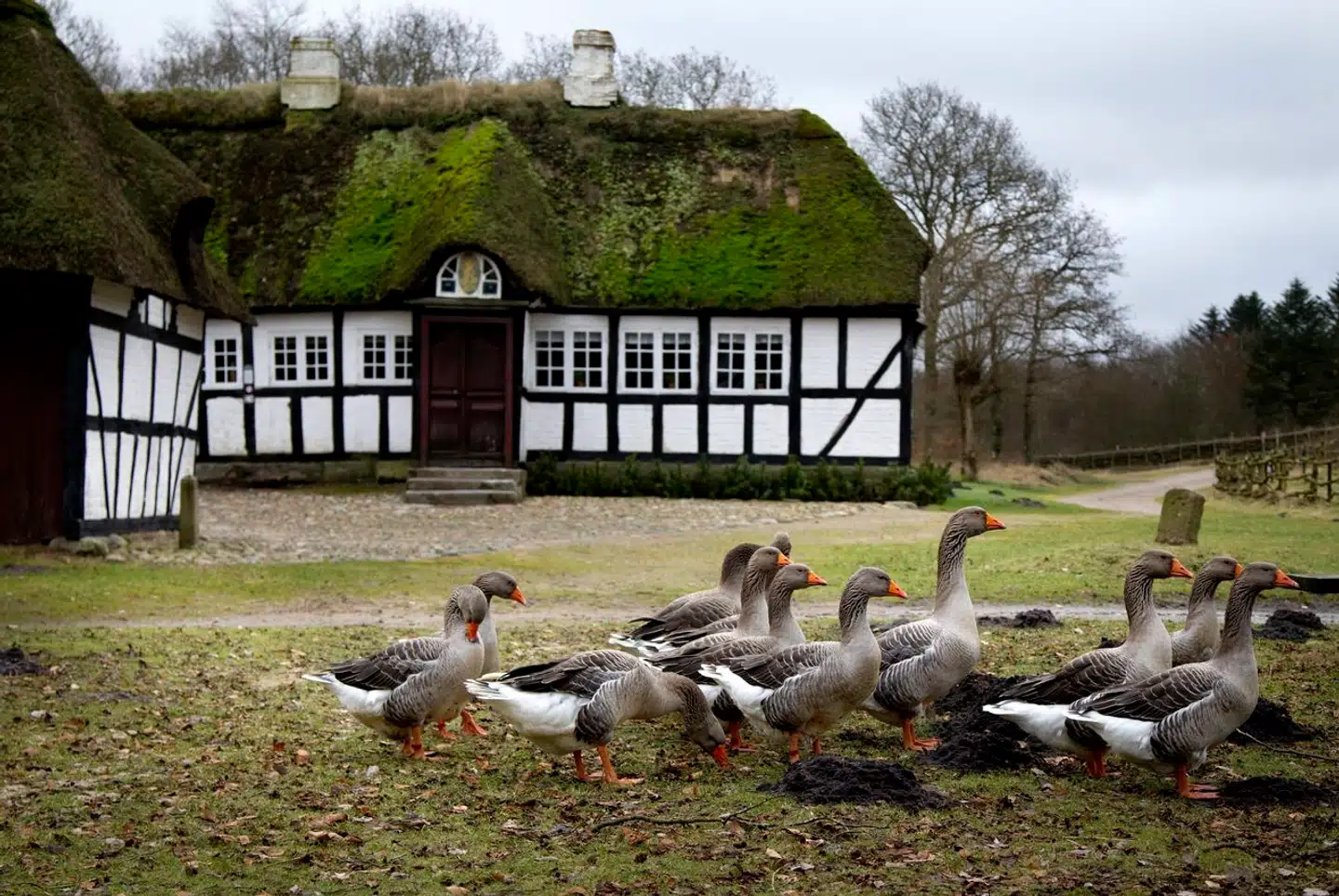 Når du deltager i dagens quiz, er du samtidig med i lodtrækningen om en præmie.