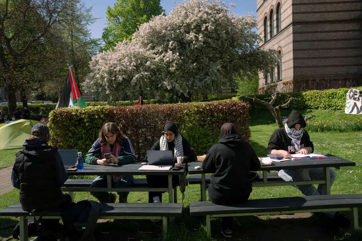 »Er aktivisterne studerende på højt intellektuelt niveau, som virkelig har gennemtænkt konsekvenserne af deres krav, eller er de bare tomme tønder, som buldrer?« spørger Jan Flodin.