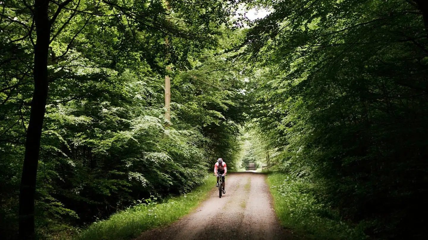 Søndag morgen så en hundelufter en lille pige gå rundt i Jægersborg Hegn. Heldigvis var hun aldrig savnet og er i god behold, oplyser politiet.