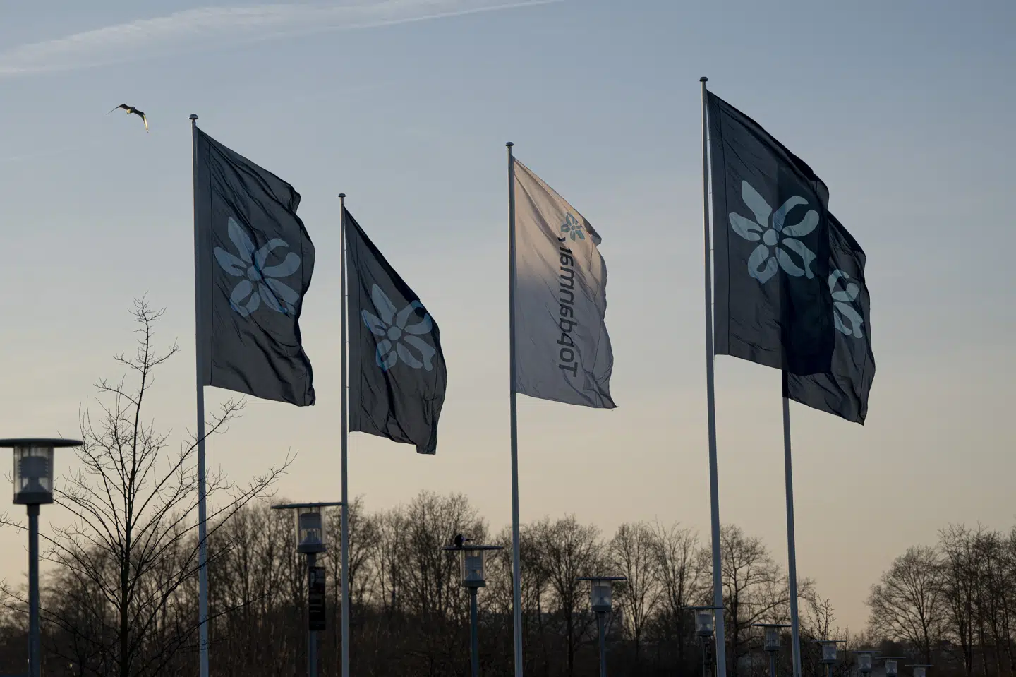 Topdanmark har hovedkvarter er i Ballerup (Arkivfoto).