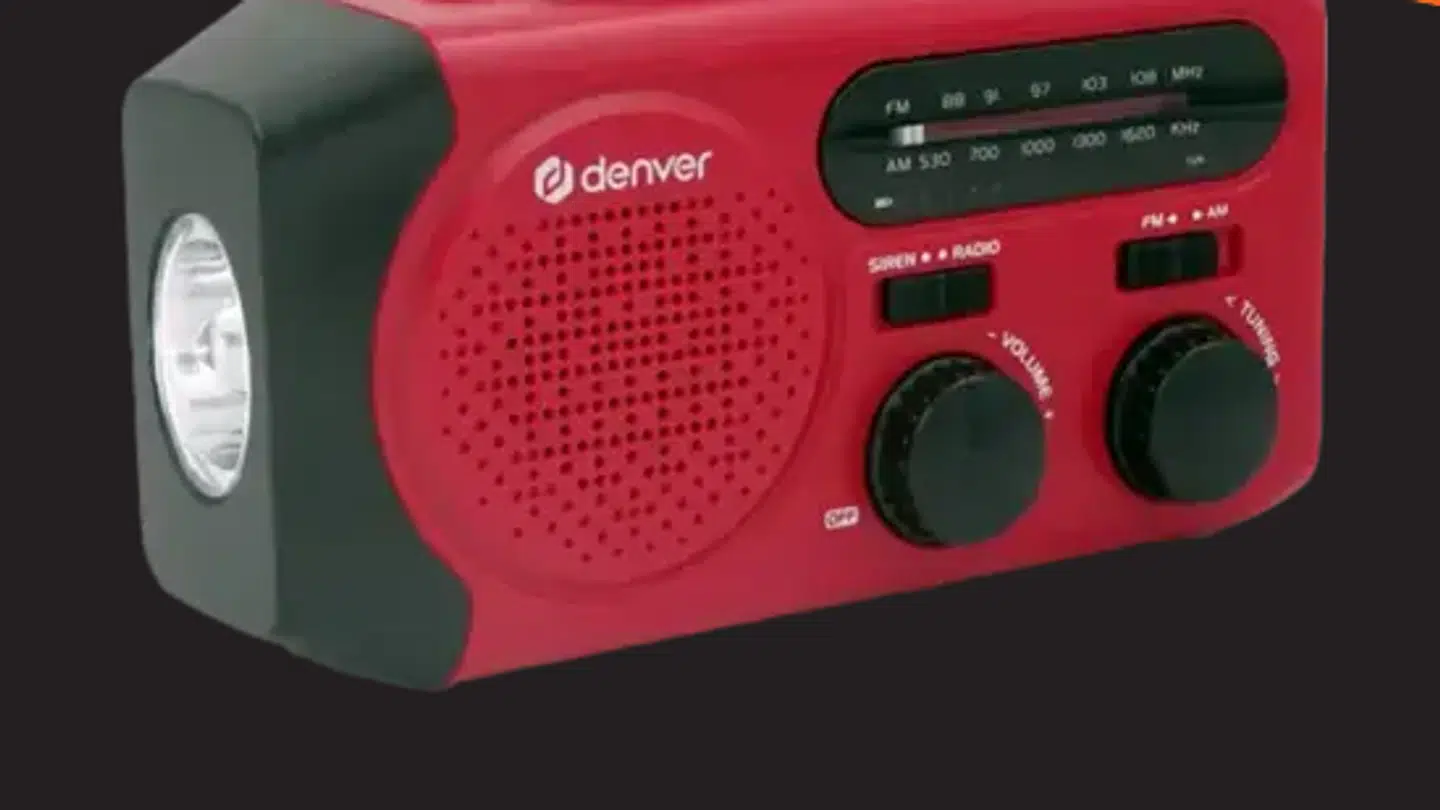 I år har danskere i stor stil søgt efter brugte FM radioer hos dba.dk.