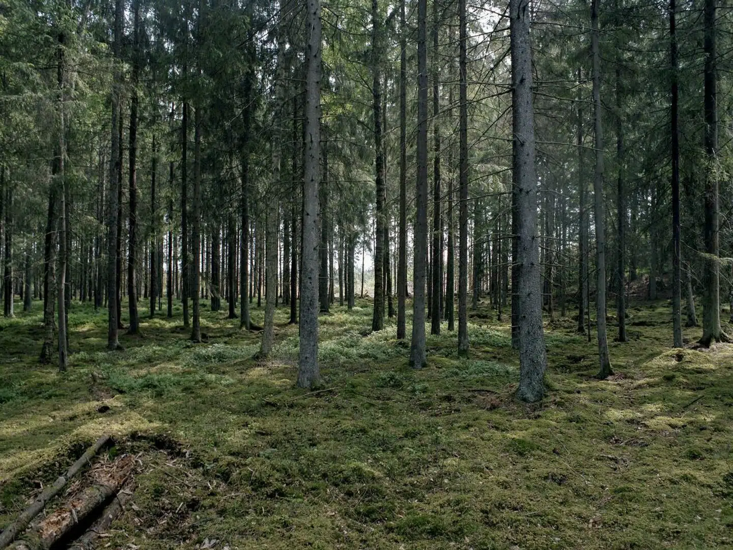 Når du deltager i dagens quiz, er du samtidig med i lodtrækningen om en præmie.