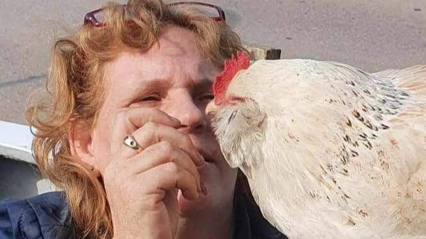 Her ses Henriette Hansen med en af de høns, hun har i sit hjem.