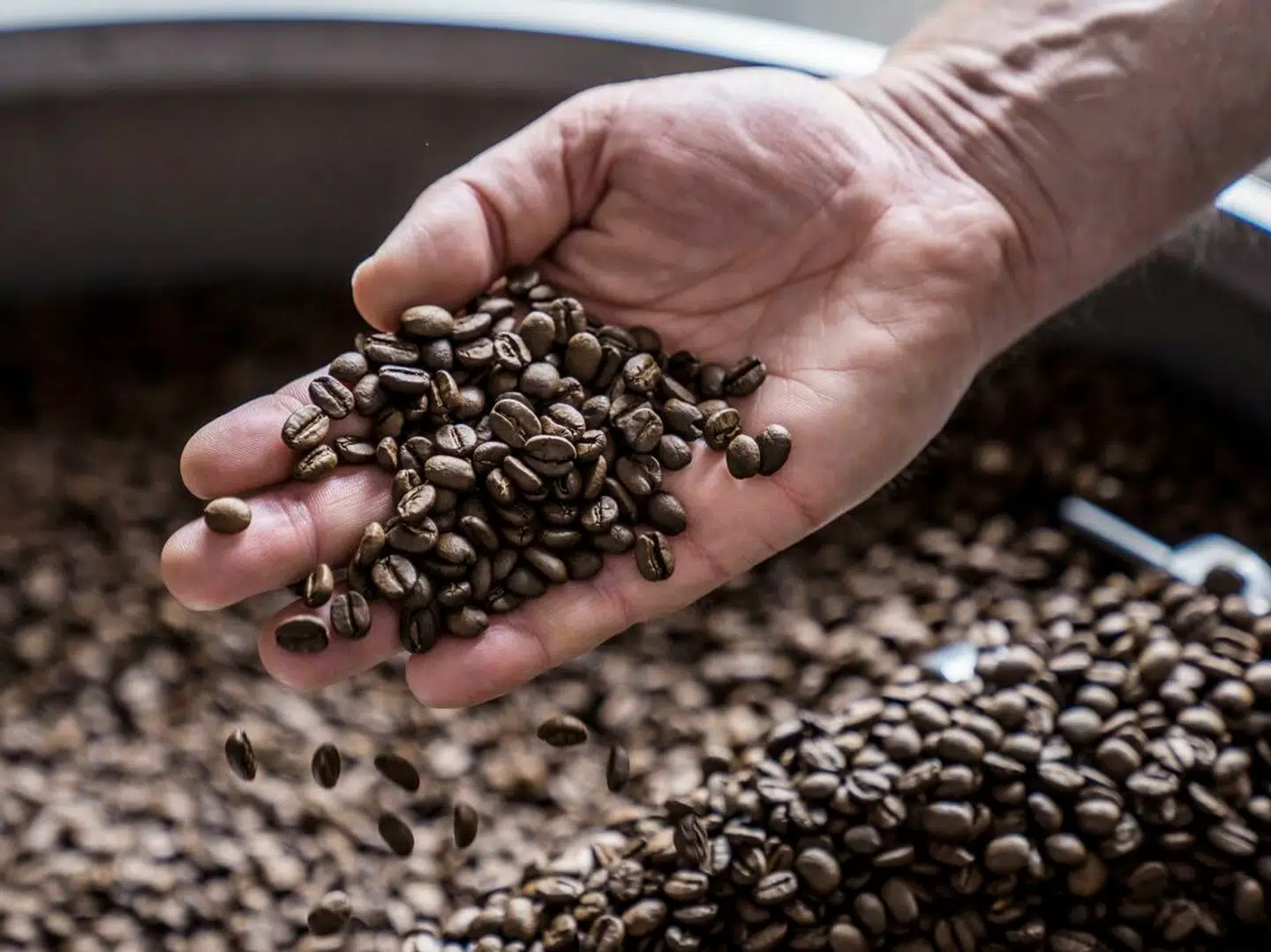 Når du deltager i dagens quiz, er du samtidig med i lodtrækningen om en præmie.