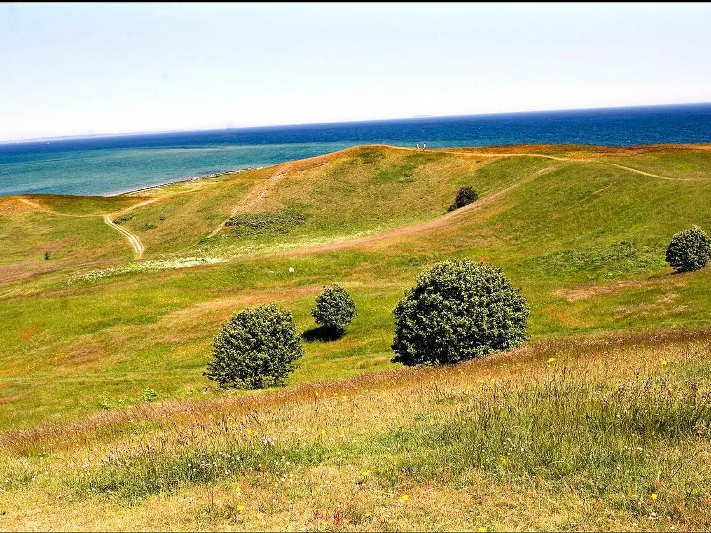 Når du deltager i dagens quiz, er du samtidig med i lodtrækningen om en præmie.