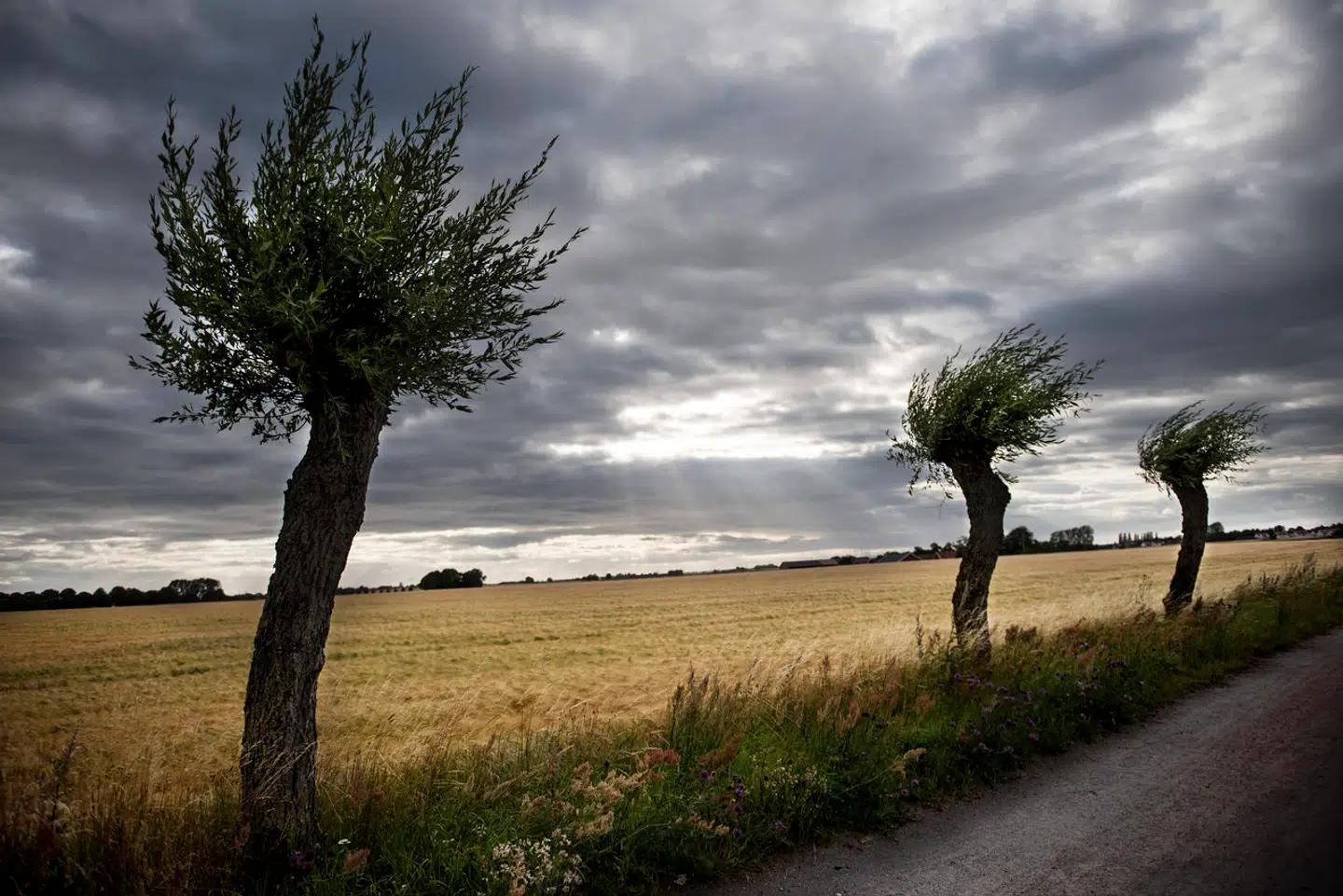 Novo Nordisk Fonden og regeringen har indgået en aftale om bidrag til omlægning af danske arealer.