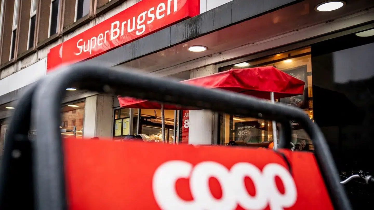 Arkivfoto. (Foto: Mads Claus Rasmussen/Ritzau Scanpix)