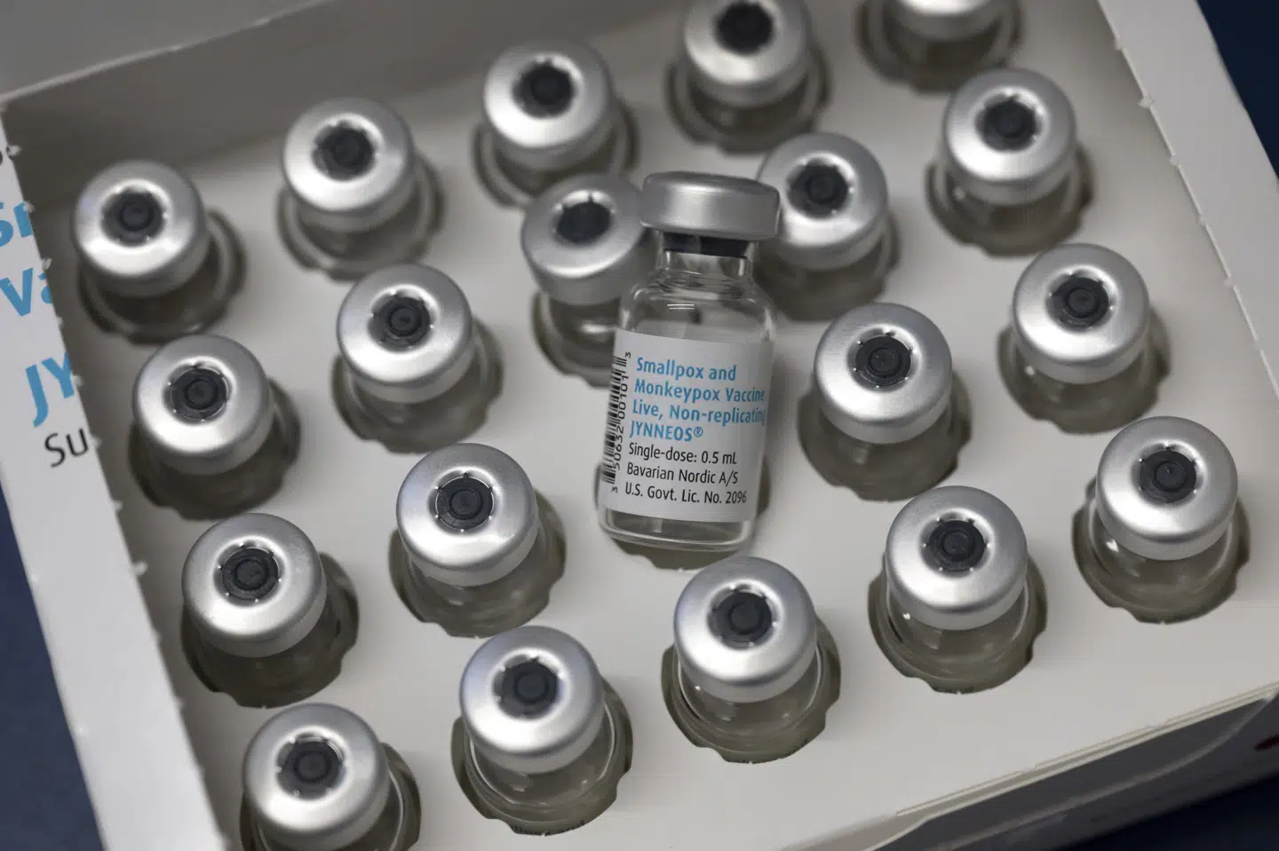 Bavarian Nordic er det eneste medicinalselskab, der har en godkendt vaccine mod abekopper i sortimentet. (Arkivfoto).