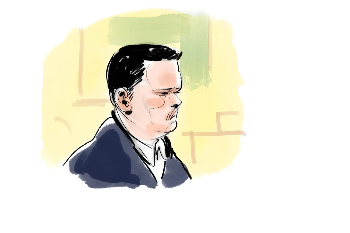 Den dømte - Philip Patrick Westh - var ikke til stede fredag eftermiddag, da dommen blev afsagt i Retten i Næstved. Dommen ankes, oplyser hans forsvarer.