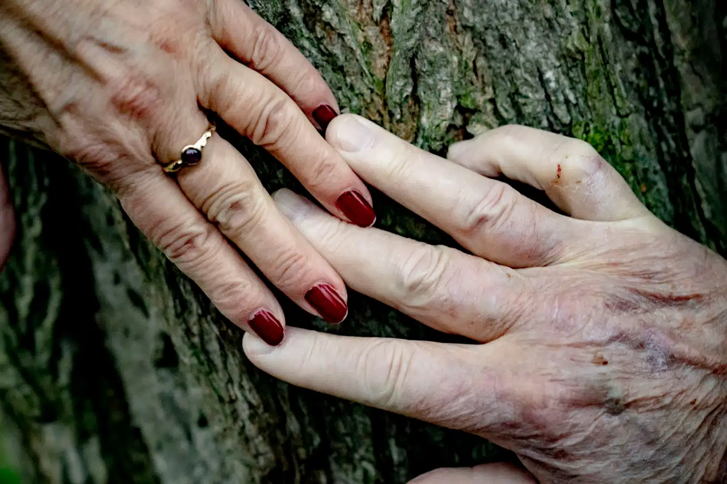 Det er meget vigtigt at holde styr på de forskellige former for ejerskaber i et forhold for at sikre, at de rette personer arver.