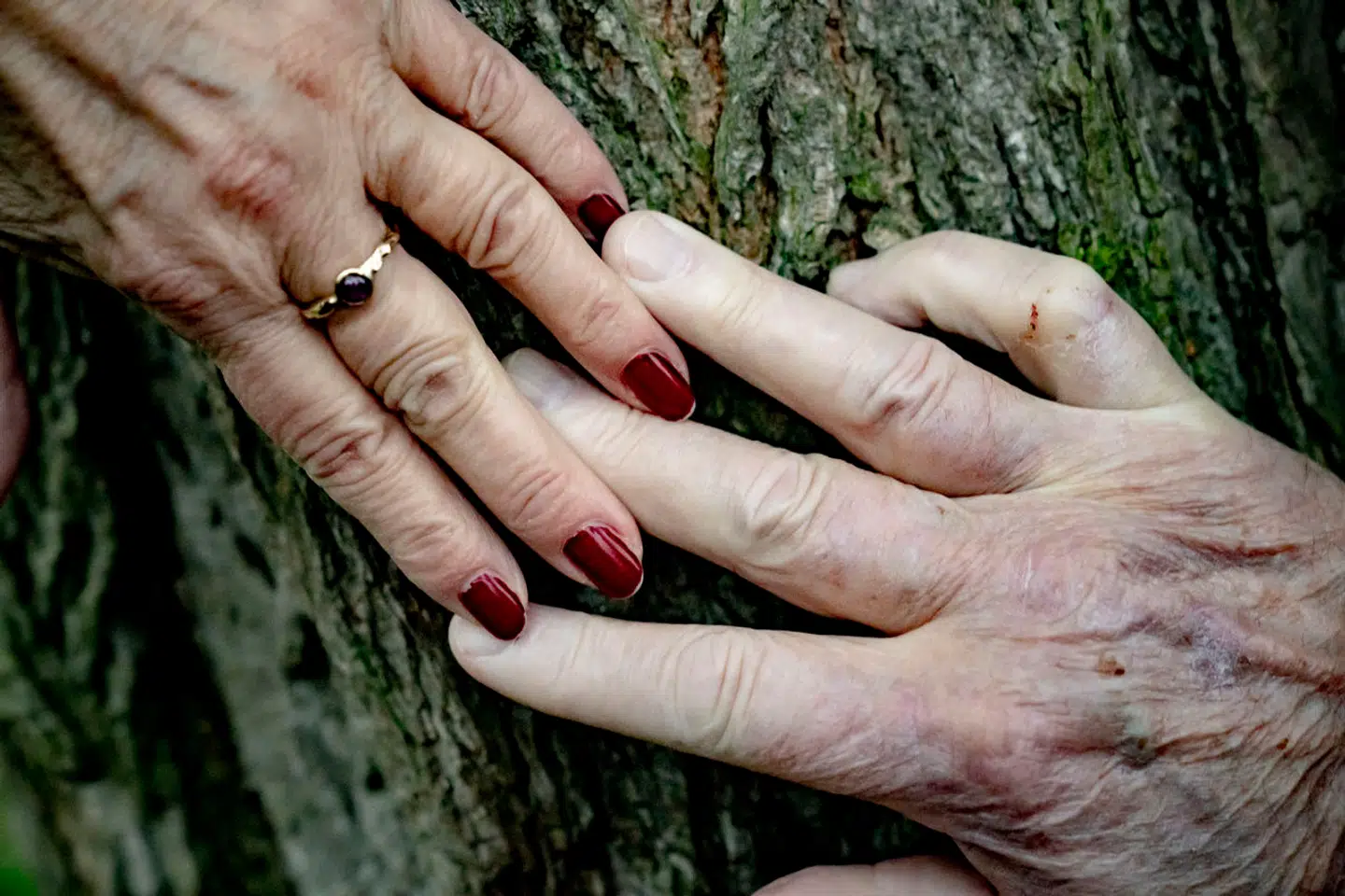Det er meget vigtigt at holde styr på de forskellige former for ejerskaber i et forhold for at sikre, at de rette personer arver.