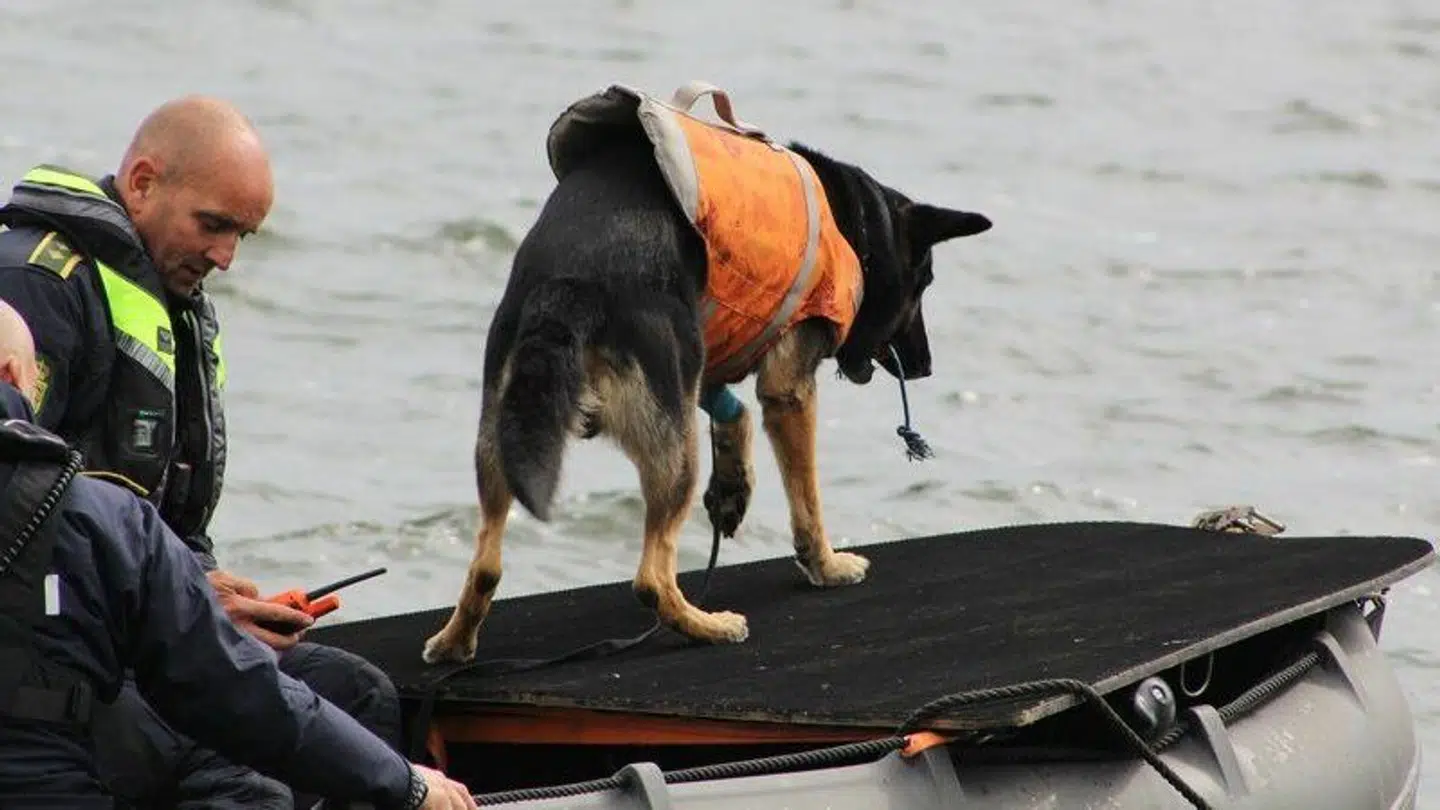 Politiet har søndag brugt særlige hunde på søen.