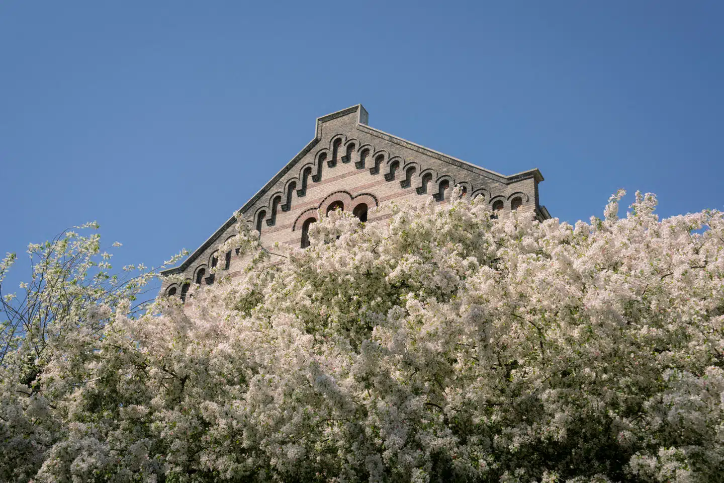 Novo Nordisk Fonden støtter en bred vifte af projekter og initiativer, der biddrager til at fremme menneskers sundhed og planetens bæredygtighed.