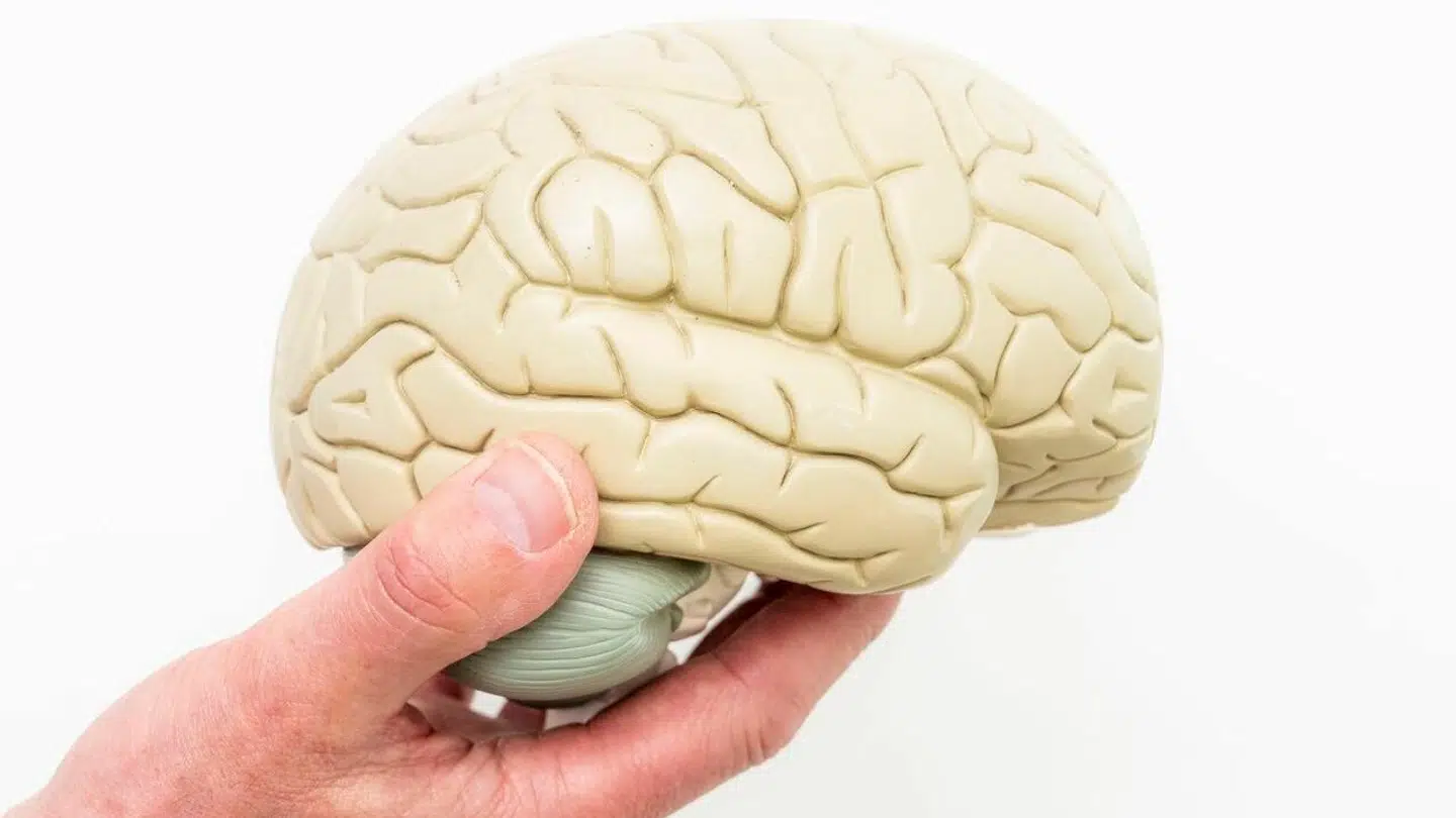 Der er en sammenhæng mellem kost og risikoen for demens