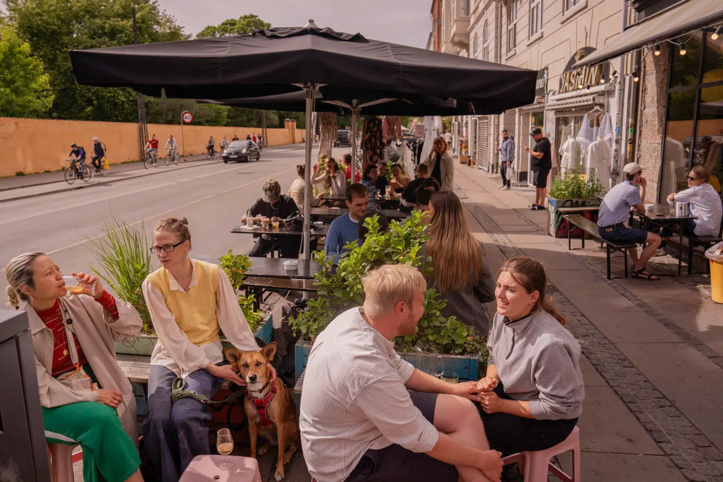 Generelt føler borgerne i København sig nu ligeså trygge, som de gjorde, før den store bandekonflikt skabte frygt i årene 2017-2018. Men der er forskel på, hvordan det billede tegner sig i de enkelte bydele. Og hvor meget kriminalitet borgerne bliver ramt af.