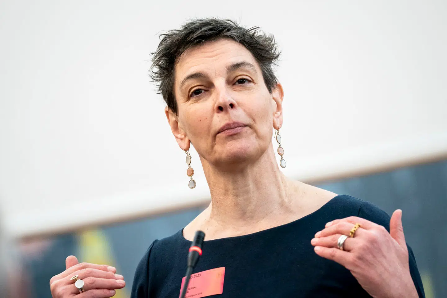 »Det er ikke kompleksiteten, som skaber Djøf'erne, men Djøf'erne der skaber kompleksiteten,« skriver Finn Østrup. På billedet ses formand for Djøf, Sara Vergo.