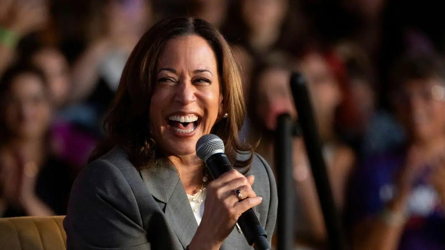 Vicepræsidenten Kamala Harris er én af kandidaterne, som Peter Baker peger på, ville være præsidentkandidater, hvis Joe Biden ville trække sit kandidatur.