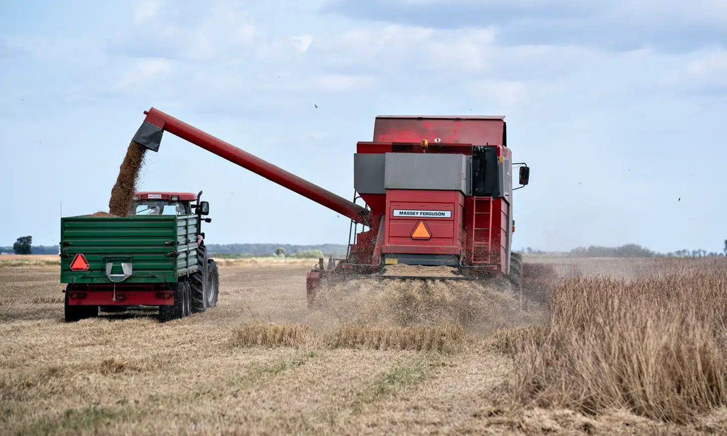 Igen og igen håndteres økologi som en fin nicheproduktion, som alle tilsyneladende ønsker at bevare, men kun få tør udpege til hovedsporet, mener Sybille Kyed.