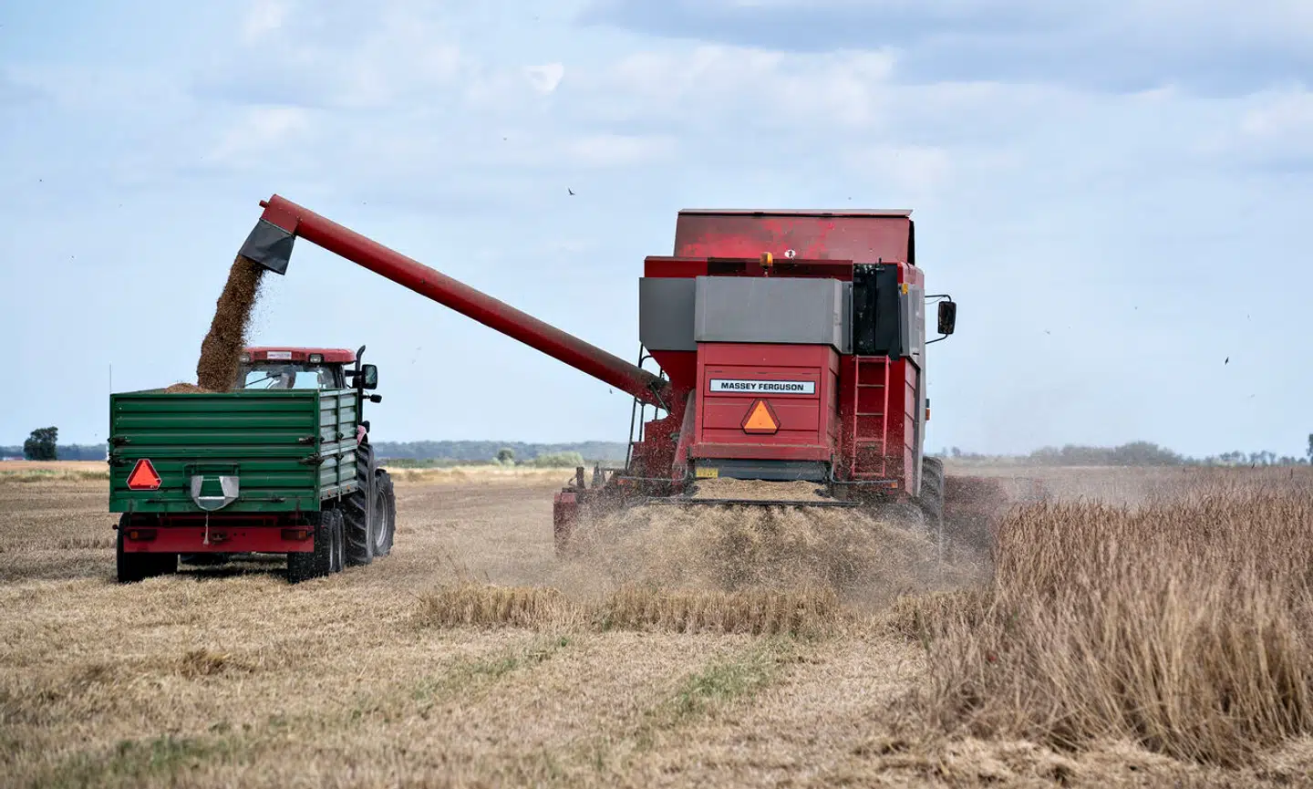 Igen og igen håndteres økologi som en fin nicheproduktion, som alle tilsyneladende ønsker at bevare, men kun få tør udpege til hovedsporet, mener Sybille Kyed.