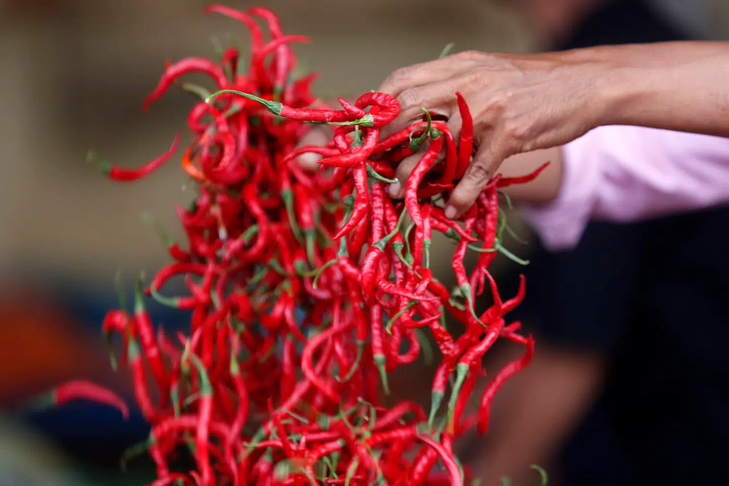 Når du deltager i dagens quiz, er du samtidig med i lodtrækningen om en præmie.