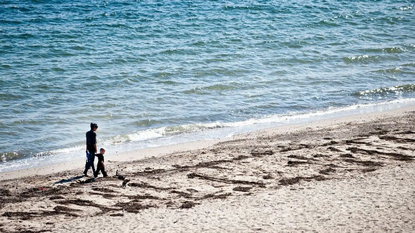 Hjernen vaskes, når du går en tur.