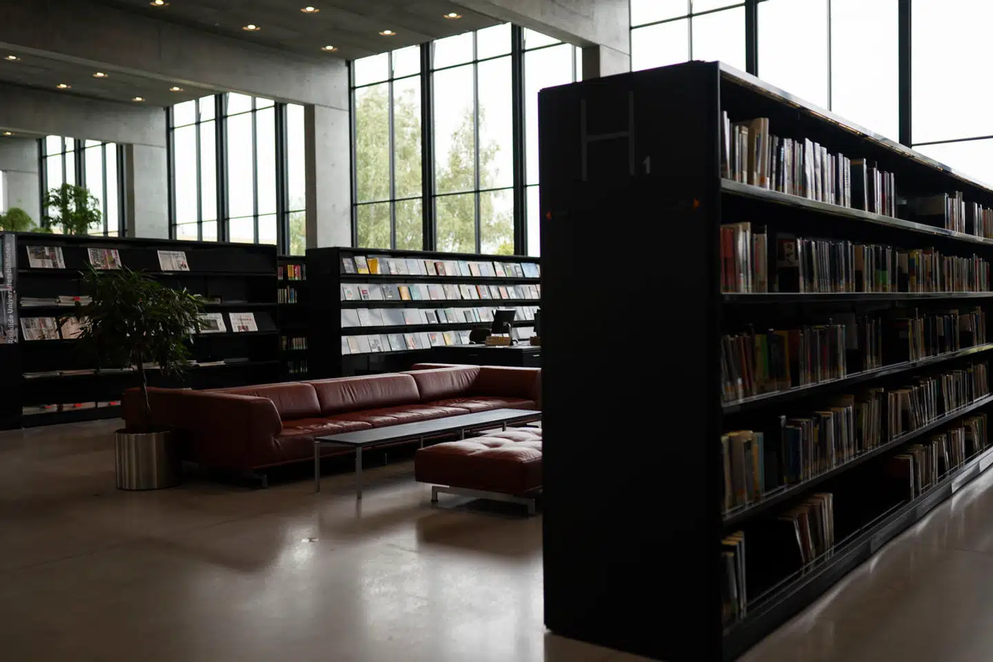 Den akademiske undervisning på universitetet øst for Roskilde på Marbjerg Mark begyndte i 1972.