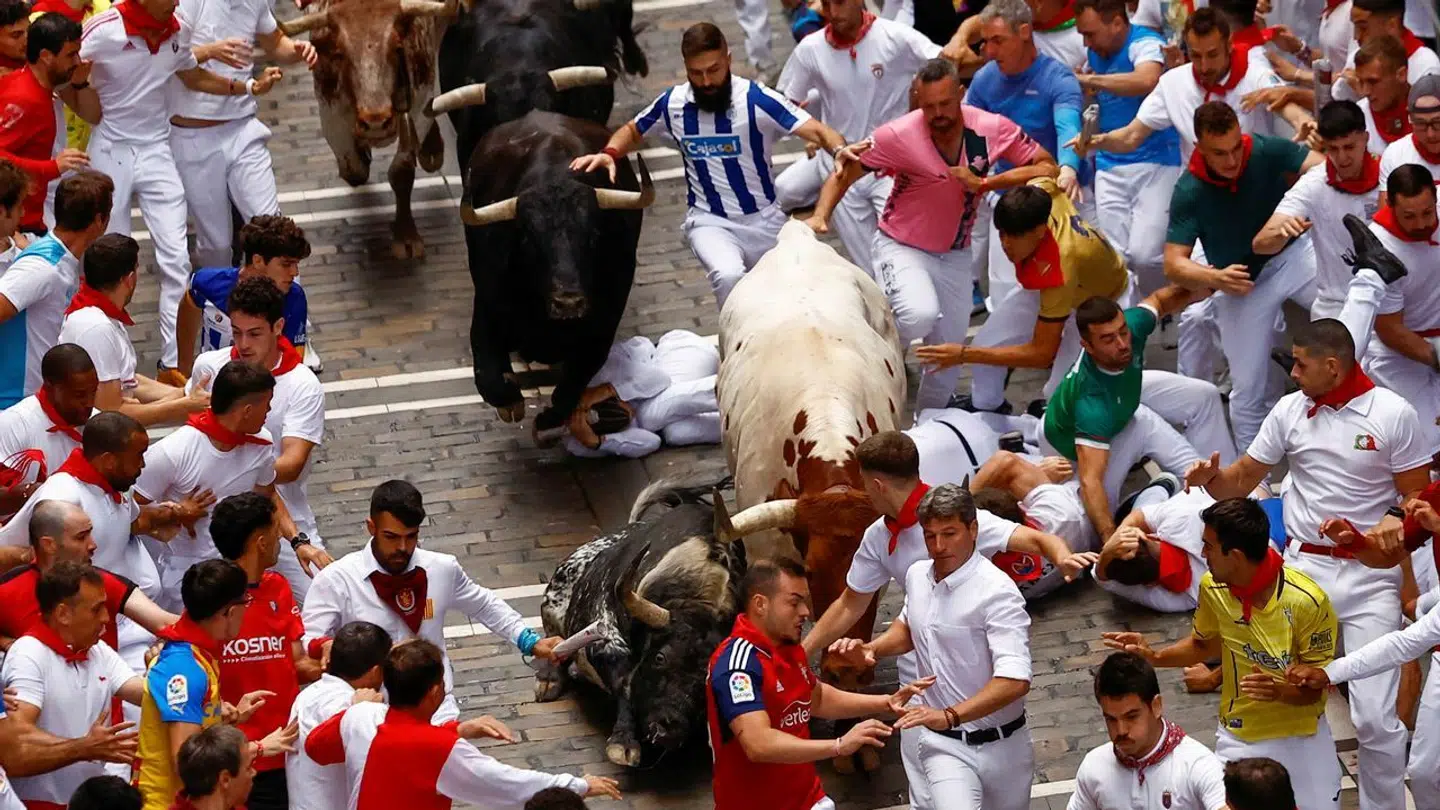 Folk løber og springer for livet i det kendte tyreløb, som flere tusinde hvert år deltager i frivilligt.