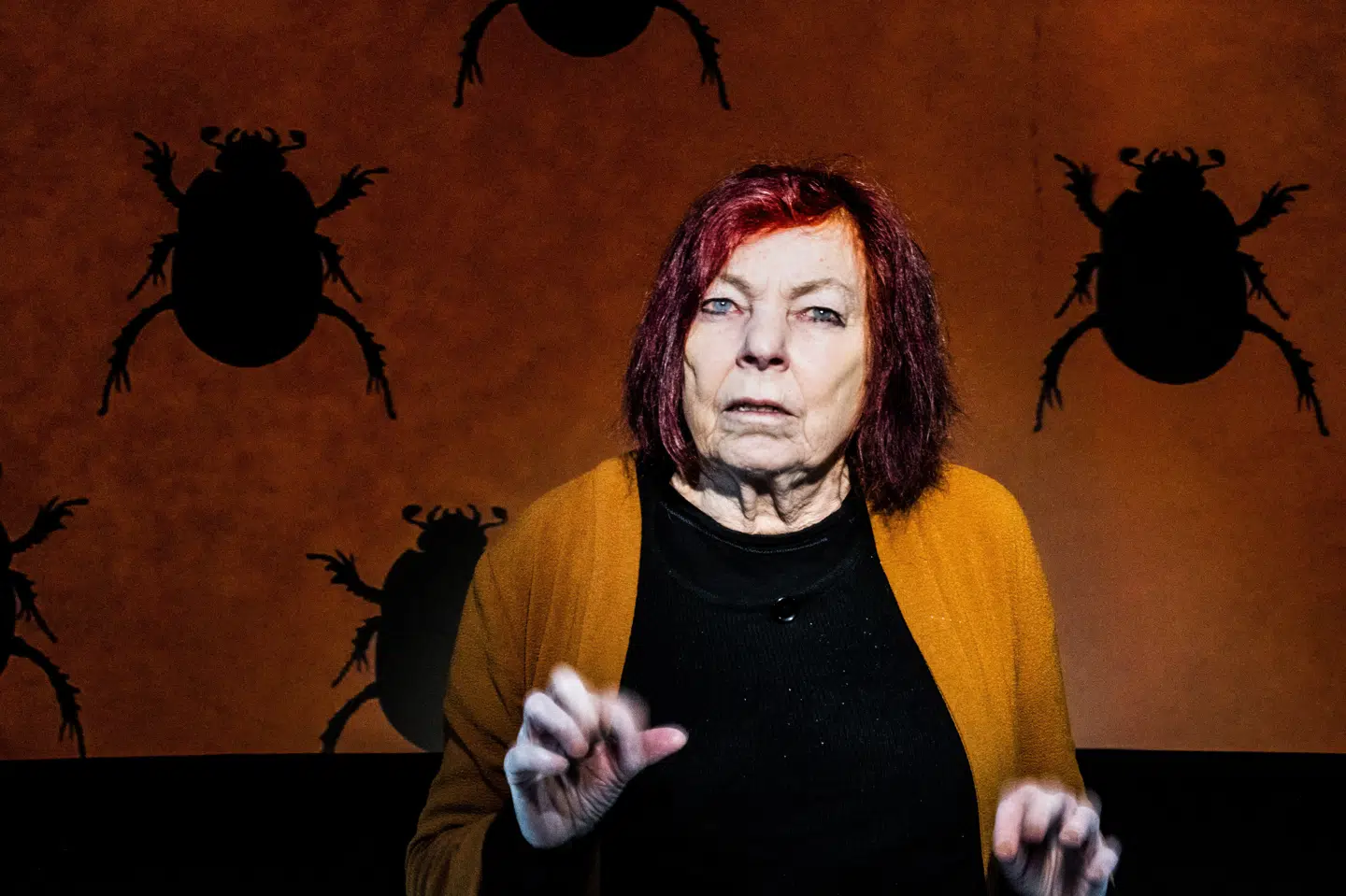 Kirsten Dehlholm har fra 1995 og frem til sin død modtaget den livsvarige ydelse fra Statens Kunstfond. (Arkivfoto).