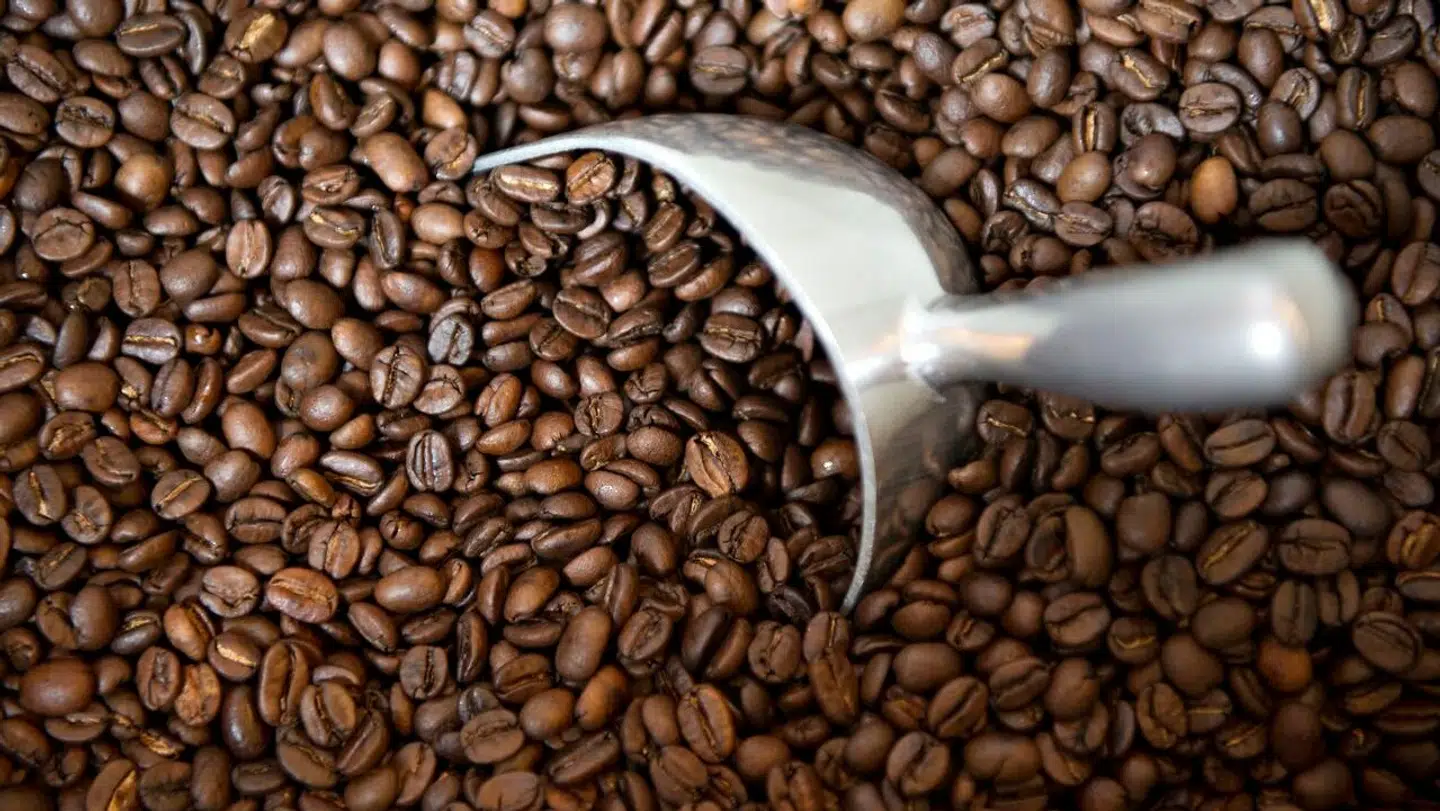 Prisen på kaffe bare stiger og stiger.