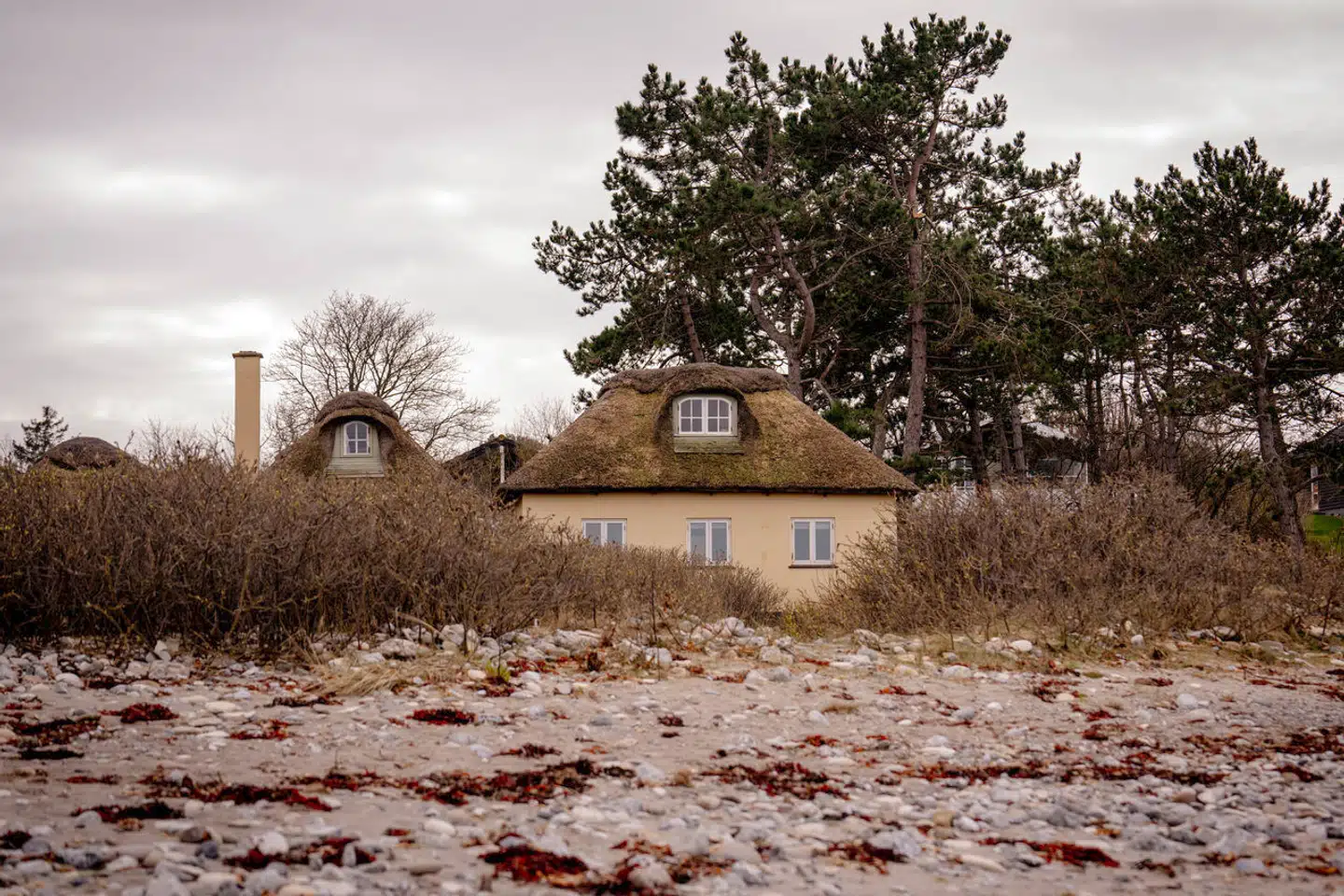 Sommerhuspriserne er på deres højeste i 13 år, viser de seneste tal fra Boligsiden.