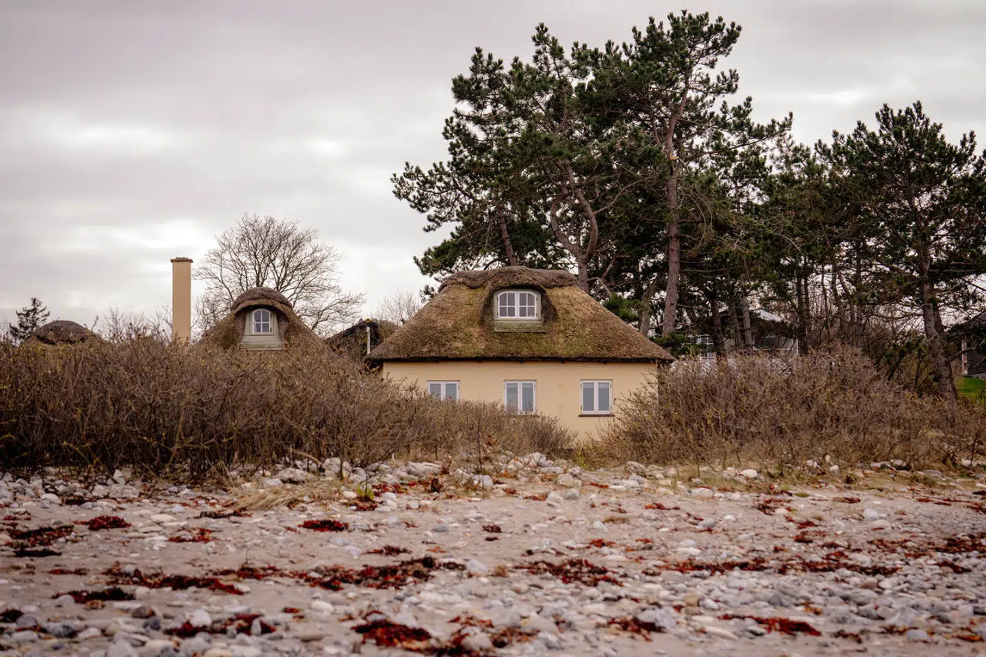 Sommerhuspriserne er på deres højeste i 13 år, viser de seneste tal fra Boligsiden.