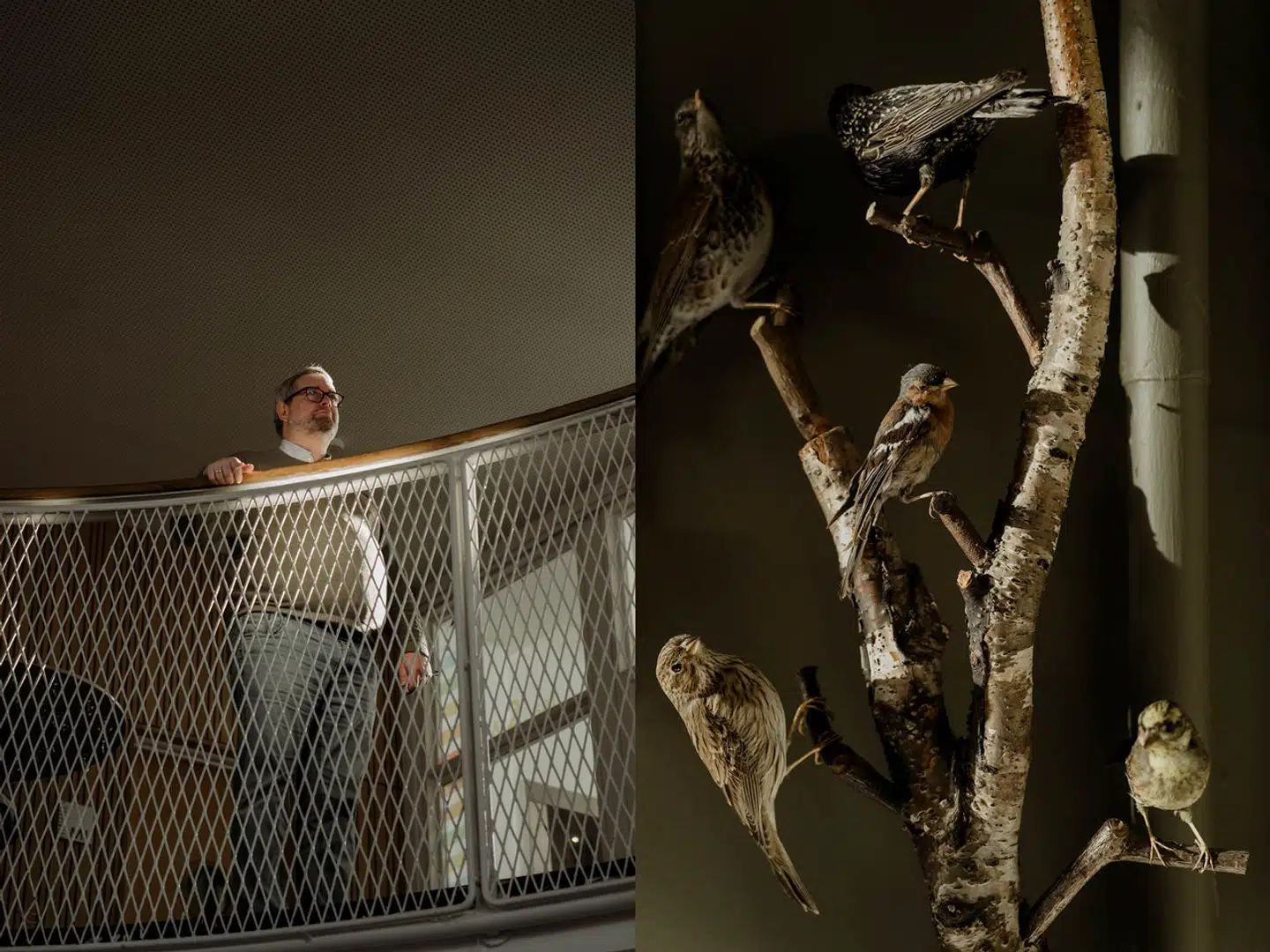 Skoleleder for Harrestrup Å Skole Søren Friis har tidligere været genstand for hård kritik fra både forældre og lærere på skolen. Nu viser aktindsigt, at problemerne – og kritikken – er mere udbredt end først antaget.