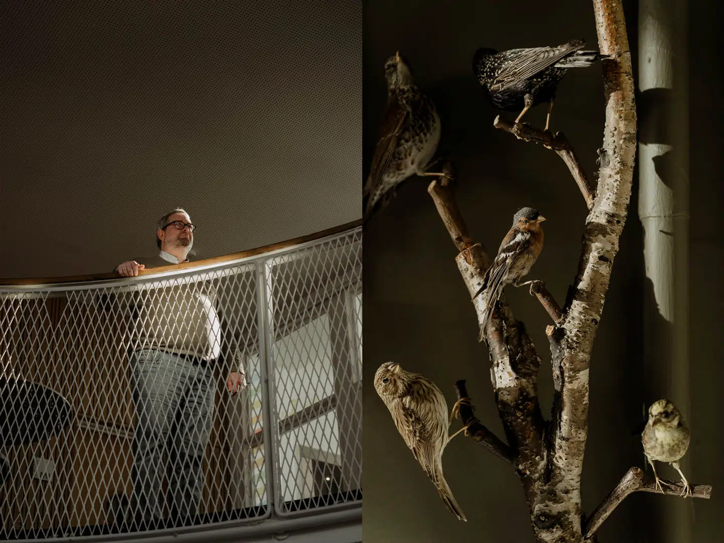 Skoleleder for Harrestrup Å Skole Søren Friis har tidligere været genstand for hård kritik fra både forældre og lærere på skolen. Nu viser aktindsigt, at problemerne – og kritikken – er mere udbredt end først antaget.