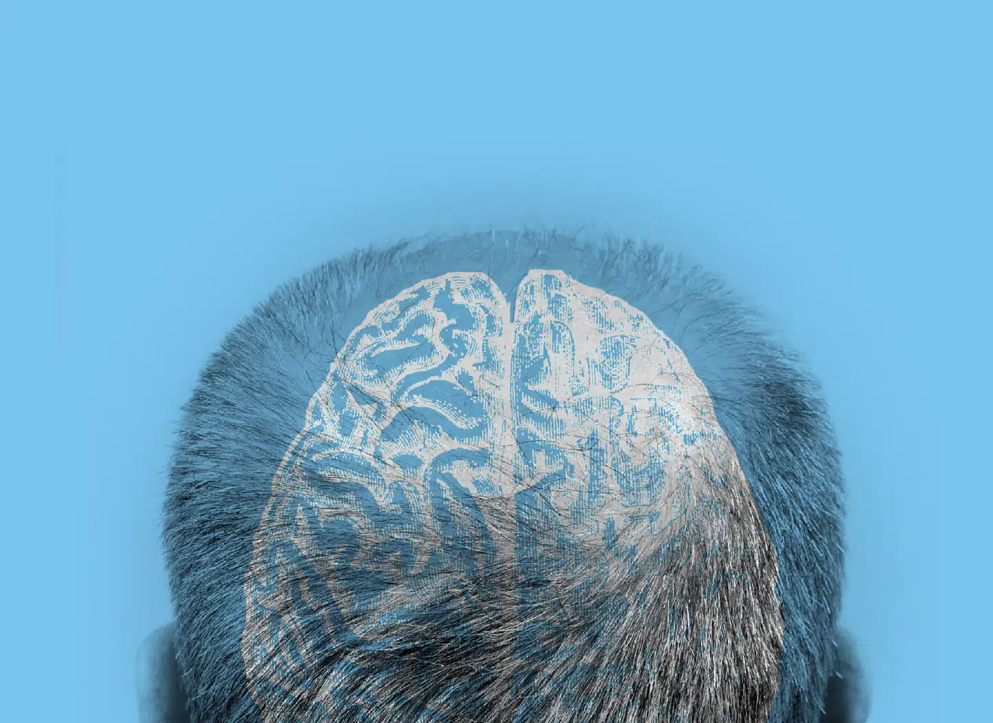 Collage: Andreas Peretti.