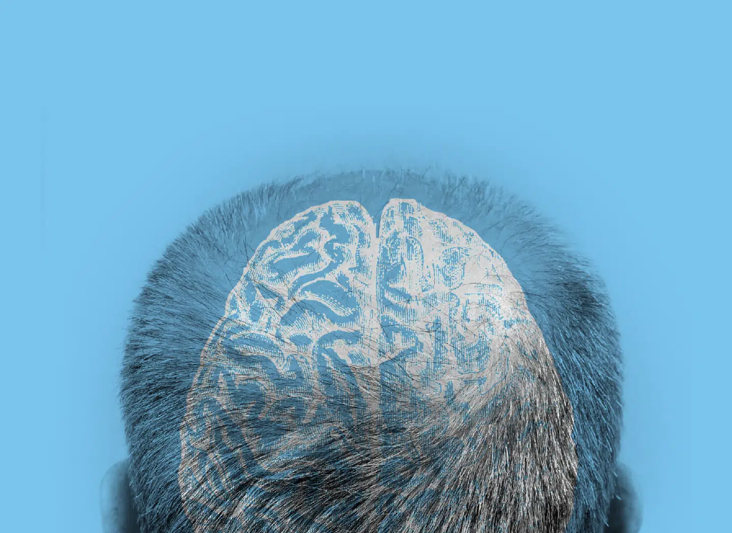 Collage: Andreas Peretti.