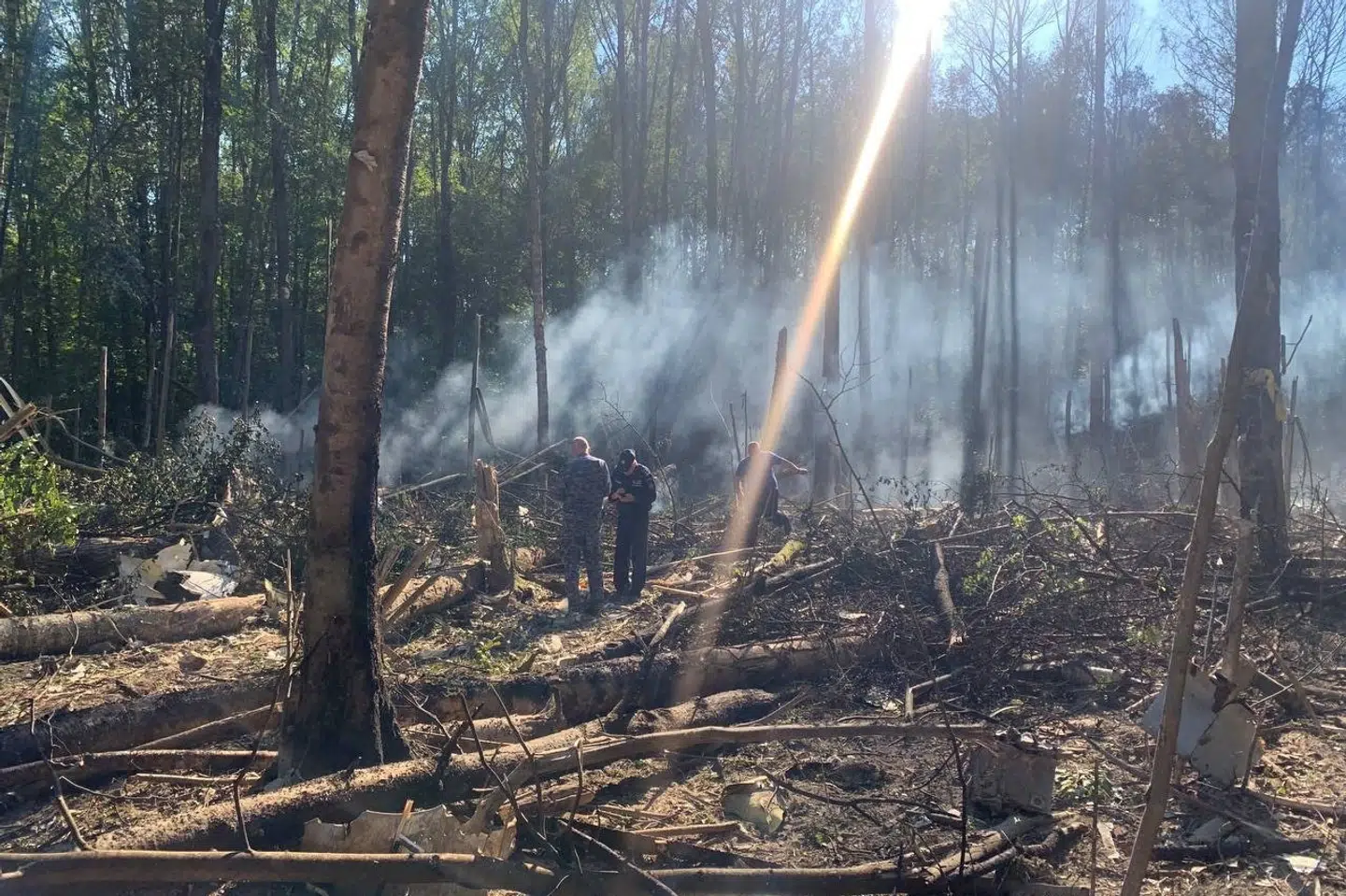 Billeder, som myndigheder i byen Kolomna har lagt på beskedtjenesten Telegram, viser det forulykkede fly i et skovområde omkring 80 kilometer fra Moskva.