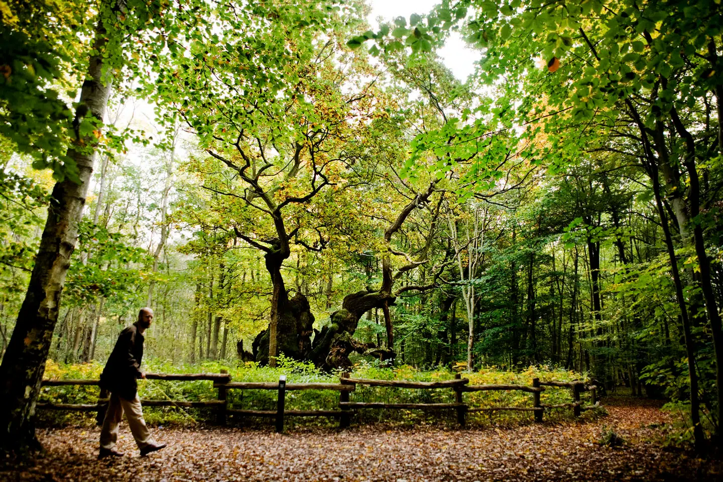 Når du deltager i dagens quiz, er du samtidig med i lodtrækningen om en præmie.