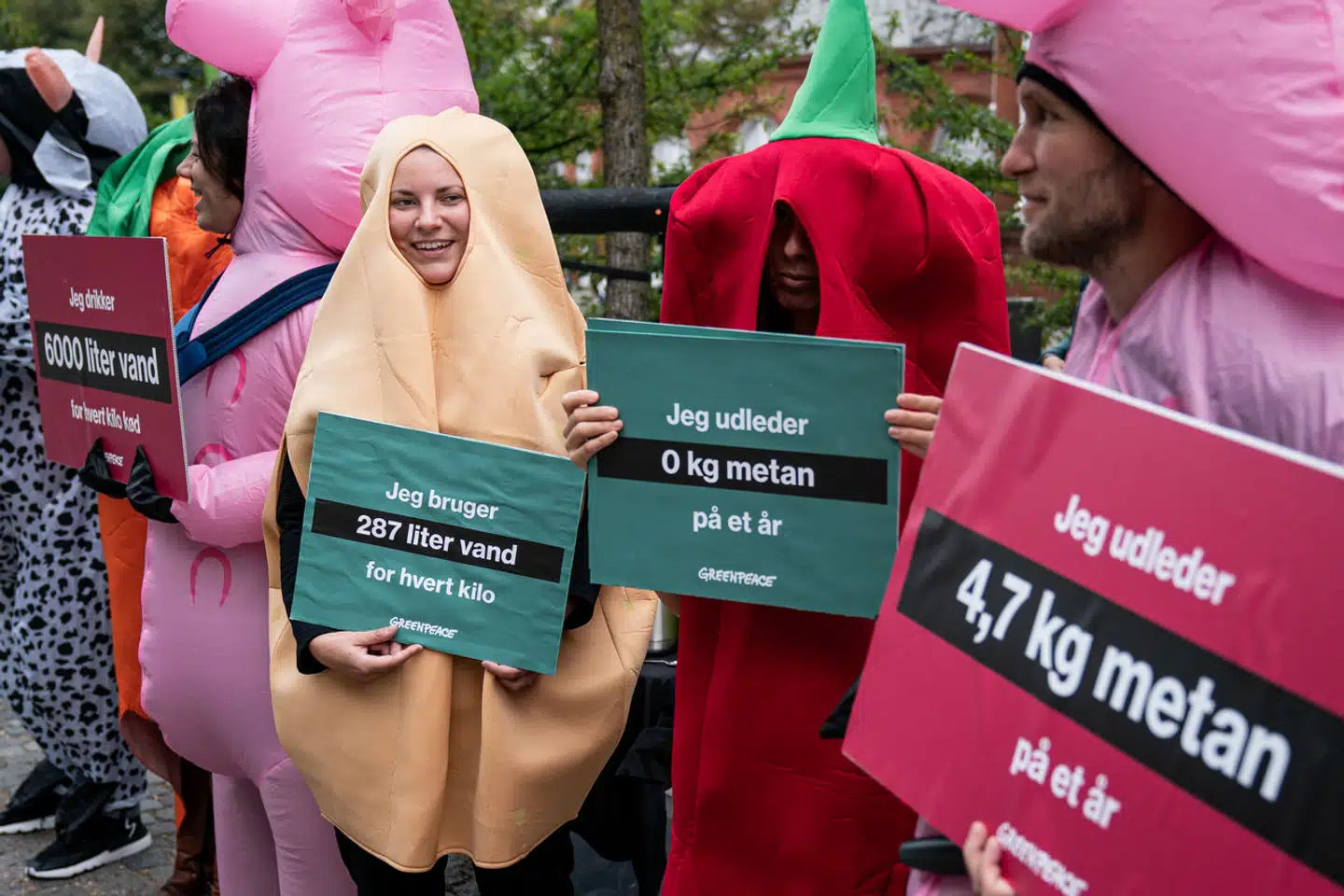 Greenpeace er blandt andet utilfreds med, at Danmark stadig står til at have en stor kødproduktion i fremtiden. Billedet er fra en tidligere demonstration imod animalsk landbrug.